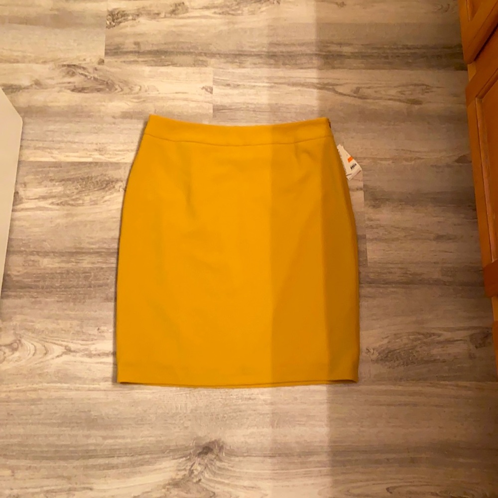 Bar lll pencil skirt never worn, still has tags